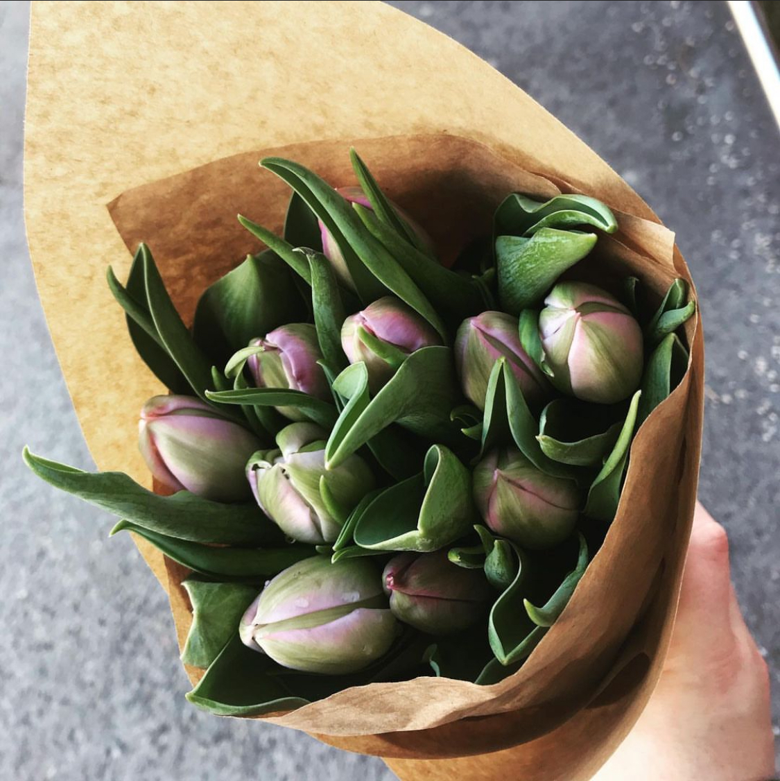How To Make Fresh Flowers Last Longer | Martina Menzini